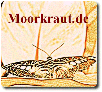 www.moorkraut.de